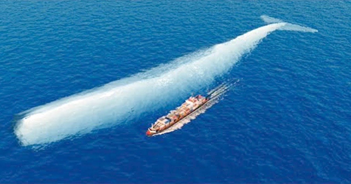 This Is What The Biggest Whale In The World Is Capable Of