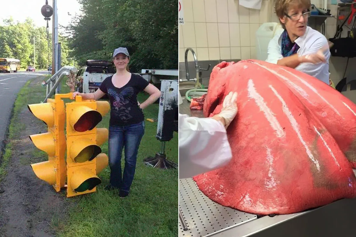 19 Things That Are Surprisingly Bigger Than You Probably Thought