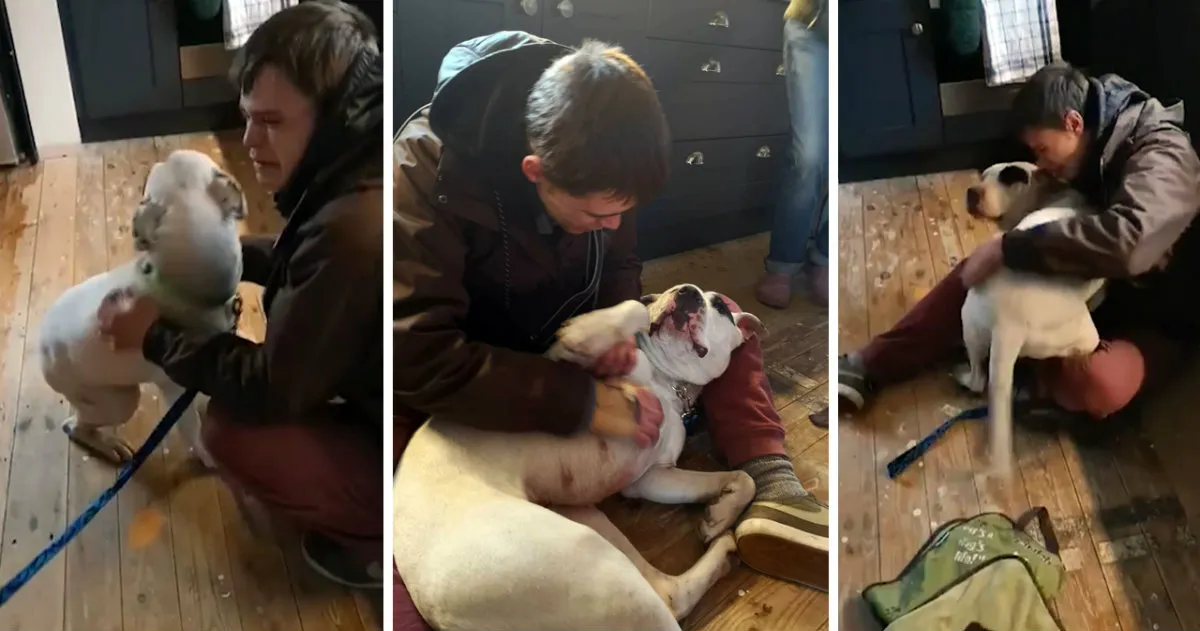 A Man Who Was Homeless Rejoined With His Missing Dog After One Grueling ...