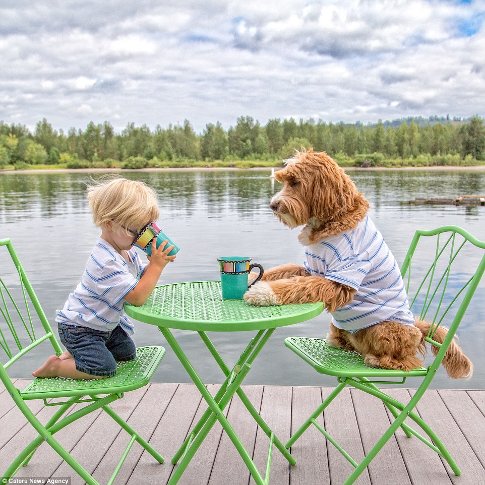 Best pals: From having a bath to enjoying a coffee by the water, Buddy and his furry friend Reagan do everything together