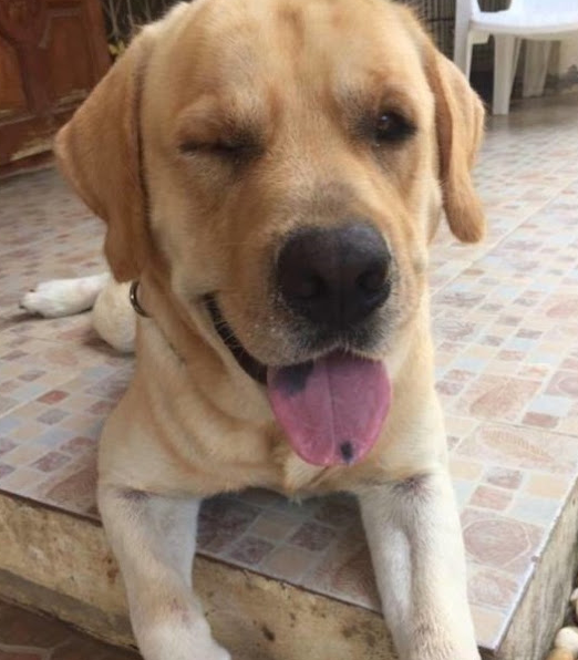 Messy and Audi together