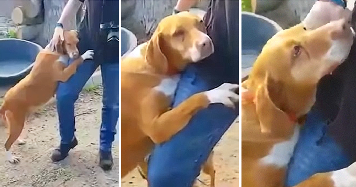 Journalist visiting shelter